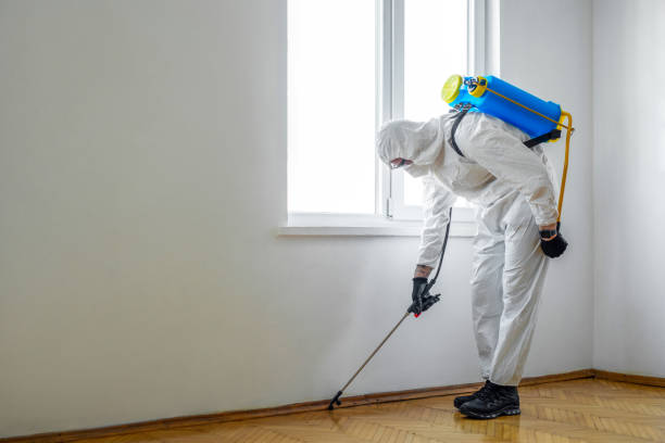 Best Cockroach Control Services  in Dunthpe, OR