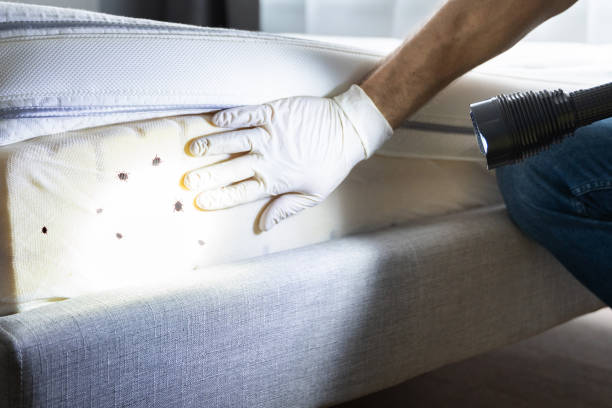 Best Pest Prevention Services  in Dunthpe, OR