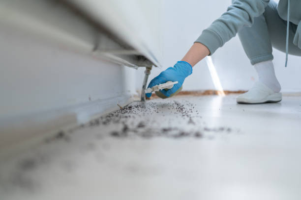 Best Emergency Pest Control  in Dunthpe, OR